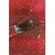 Ημιμόνιμο βερνίκι Κόκκινο Glitter Paprika 15ml Ημιμόνιμα Χρώματα 